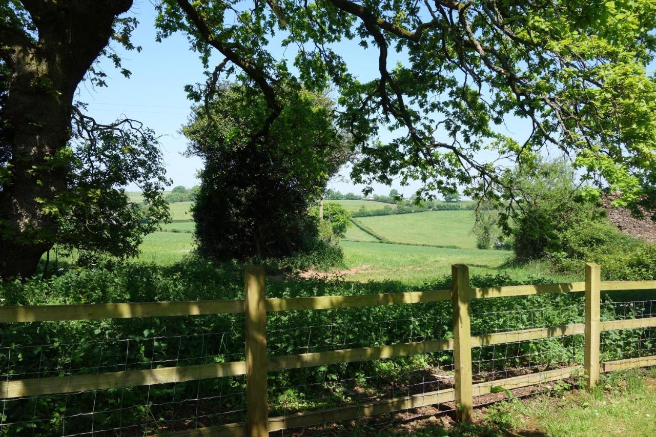 St Michaels House Bed & Breakfast Crediton Eksteriør bilde
